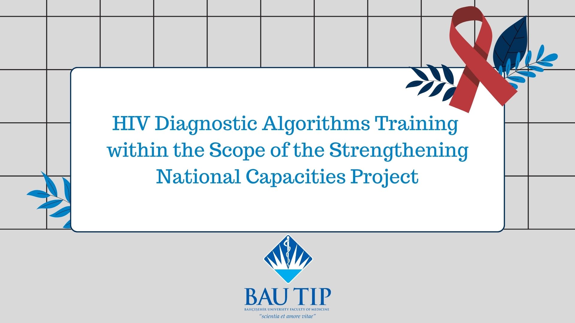 HIV Diagnostic Algorithms Training Conducted within the Scope of the Strengthening National Capacities Project
